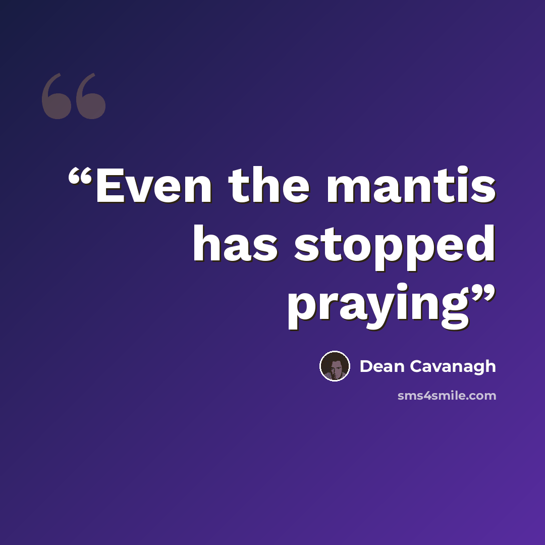 “Even the mantis has stopped praying” quote by Dean Cavanagh
