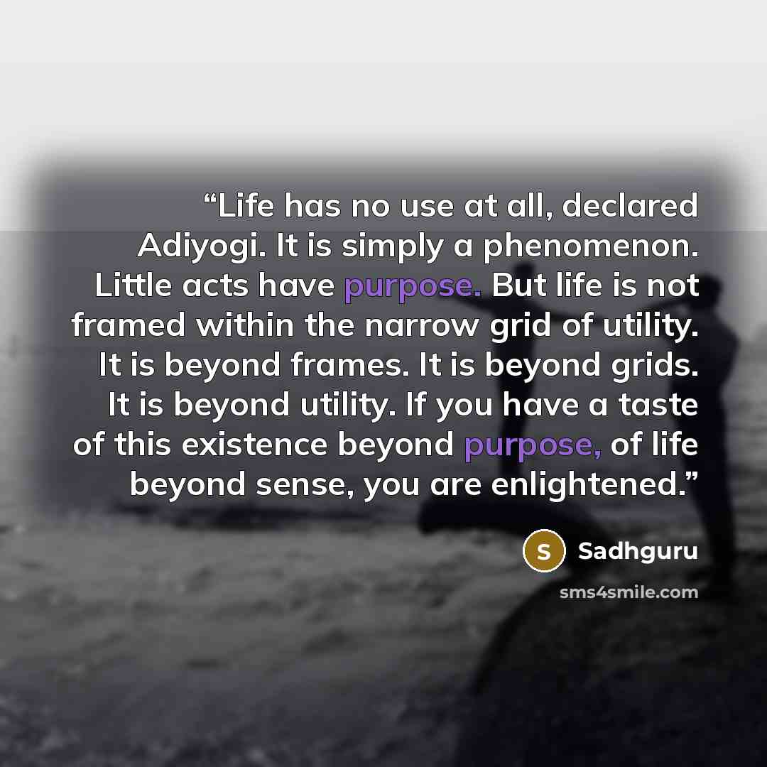 “Life has no use at all, declared Adiyogi. It is simply a phenomenon. Little acts have purpose. But life is not framed within the narrow grid of utility. It is beyond frames. It is beyond grids. It is beyond utility. If you have a taste of this existence beyond purpose, of life beyond sense, you…” quote by Sadhguru