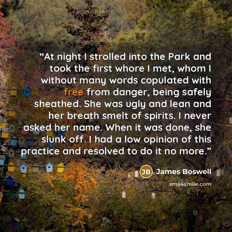 “At night I strolled into the Park and took the first whore I met, whom I without many words copulated with free from danger, being safely sheathed. She was ugly and lean and her breath smelt of spirits. I never asked her name. When it was done, she slunk off. I had a low opinion of this practice…” quote by James Boswell