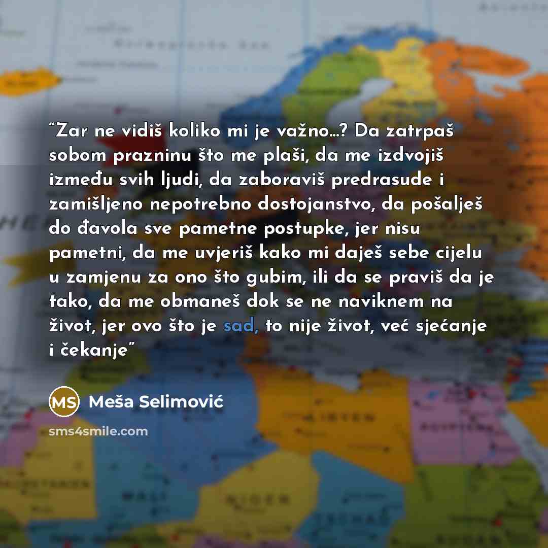 “Zar ne vidiš koliko mi je važno...? Da zatrpaš sobom prazninu što me plaši, da me izdvojiš između svih ljudi, da zaboraviš predrasude i zamišljeno nepotrebno dostojanstvo, da pošalješ do đavola sve pametne postupke, jer nisu pametni, da me uvjeriš kako mi daješ sebe cijelu u zamjenu za ono što…” quote by Meša Selimović