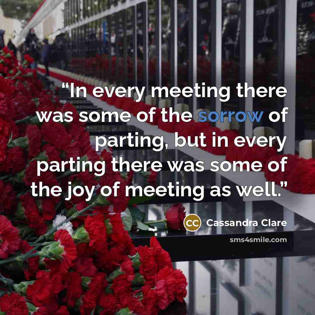 “In every meeting there was some of the sorrow of parting, but in every parting there was some of the joy of meeting as well.” quote by Cassandra Clare