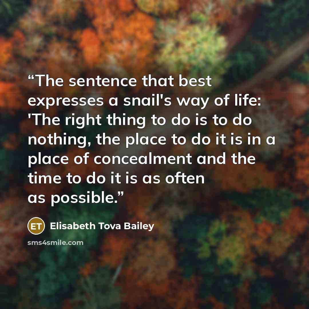 “The sentence that best expresses a snail's way of life: 'The right thing to do is to do nothing, the place to do it is in a place of concealment and the time to do it is as often as possible.” quote by Elisabeth Tova Bailey