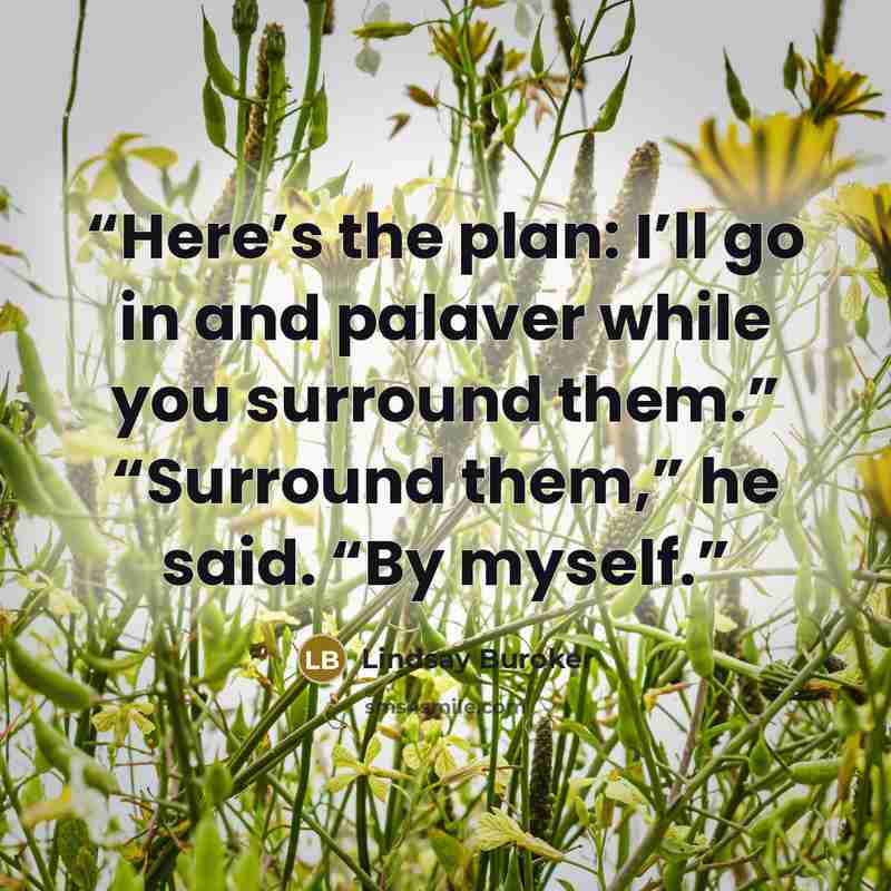 “Here’s the plan: I’ll go in and palaver while you surround them.” “Surround them,” he said. “By myself.” quote by Lindsay Buroker