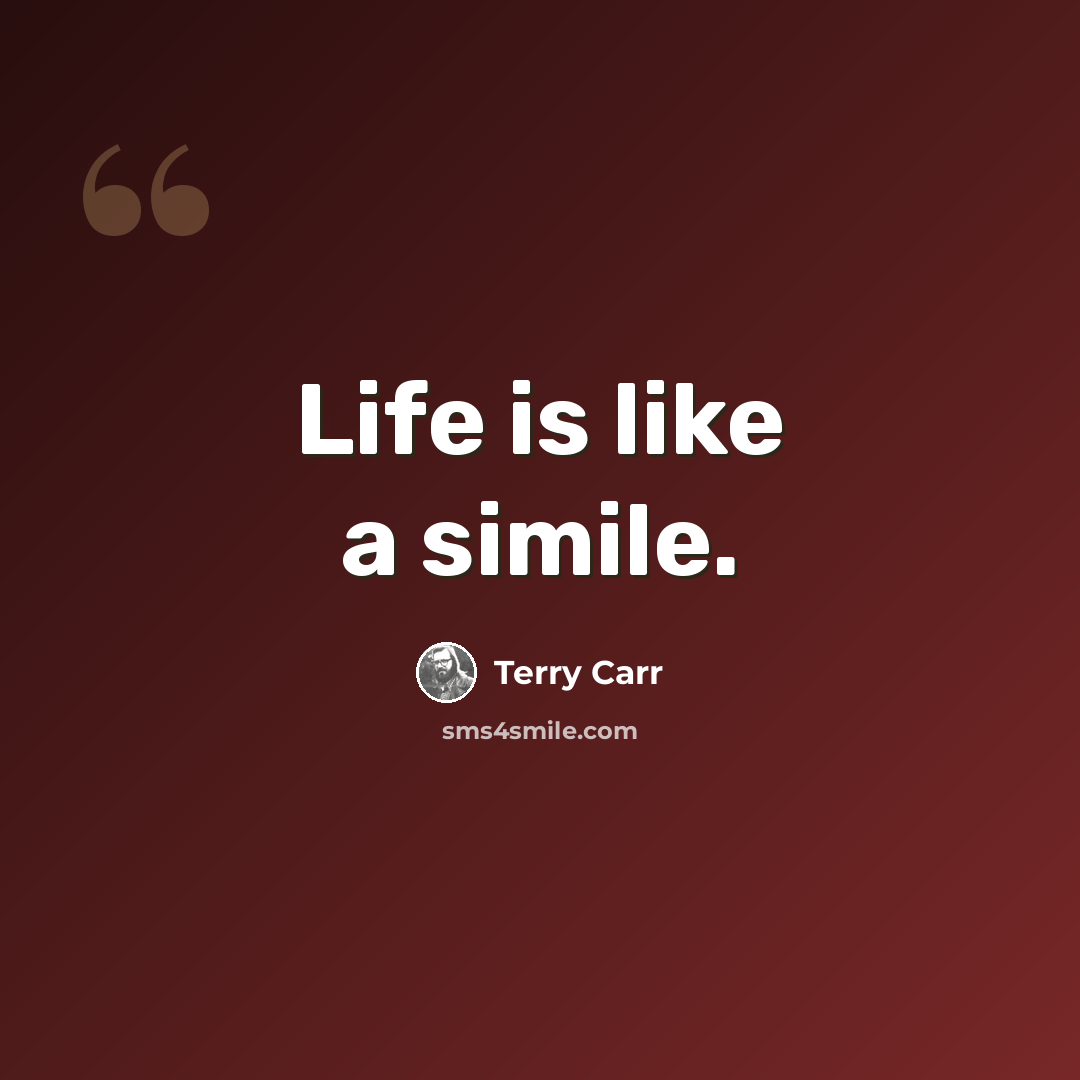 “Life is like a simile.” quote by Terry Carr