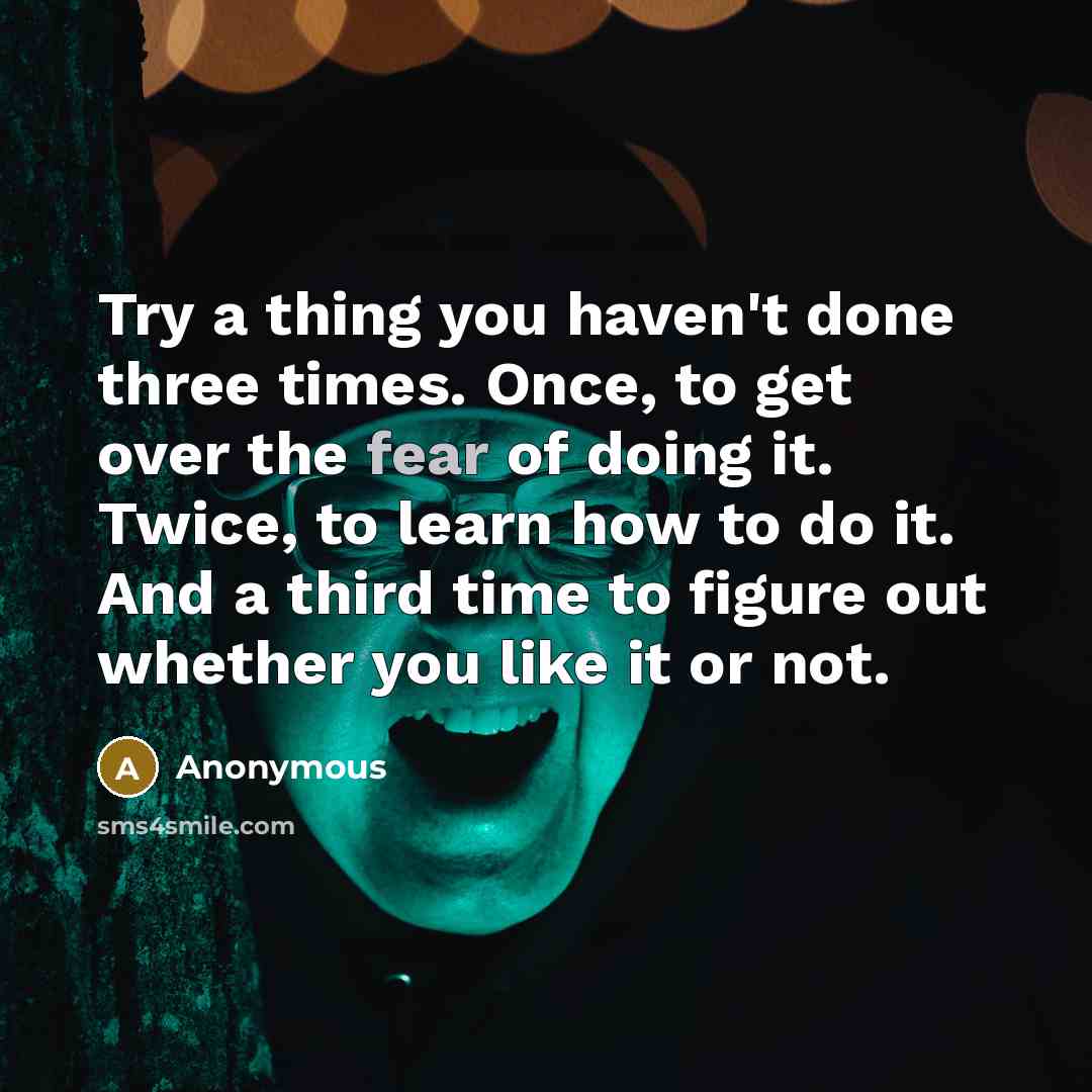“Try a thing you haven't done three times. Once, to get over the fear of doing it. Twice, to learn how to do it. And a third time to figure out whether you like it or not.” quote by Anonymous