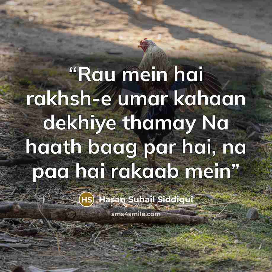 “Rau mein hai rakhsh-e umar kahaan dekhiye thamay Na haath baag par hai, na paa hai rakaab mein” quote by Hasan Suhail Siddiqui