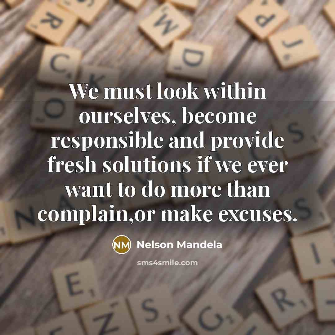 “We must look within ourselves, become responsible and provide fresh solutions if we ever want to do more than complain,or make excuses.” quote by Nelson Mandela