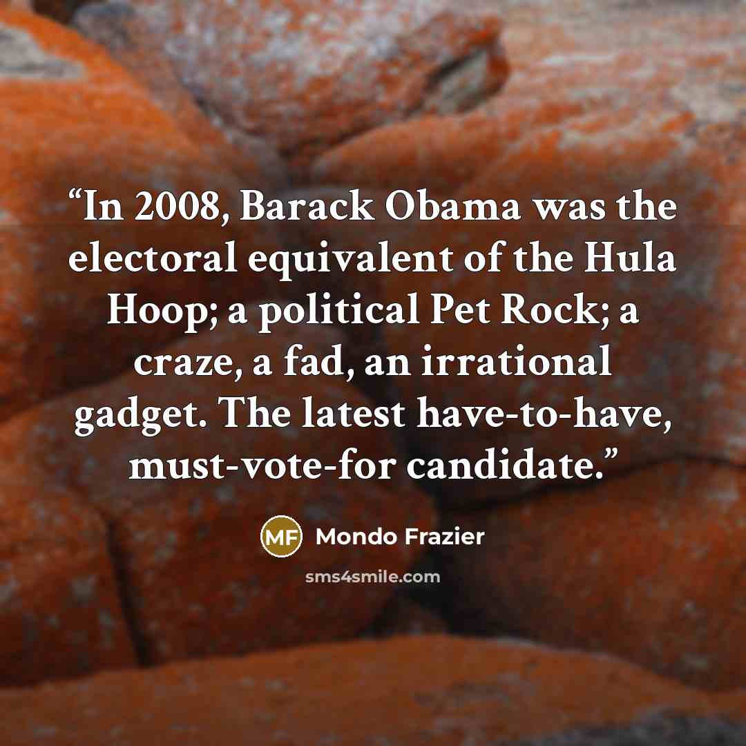 “In 2008, Barack Obama was the electoral equivalent of the Hula Hoop; a political Pet Rock; a craze, a fad, an irrational gadget. The latest have-to-have, must-vote-for candidate.” quote by Mondo Frazier