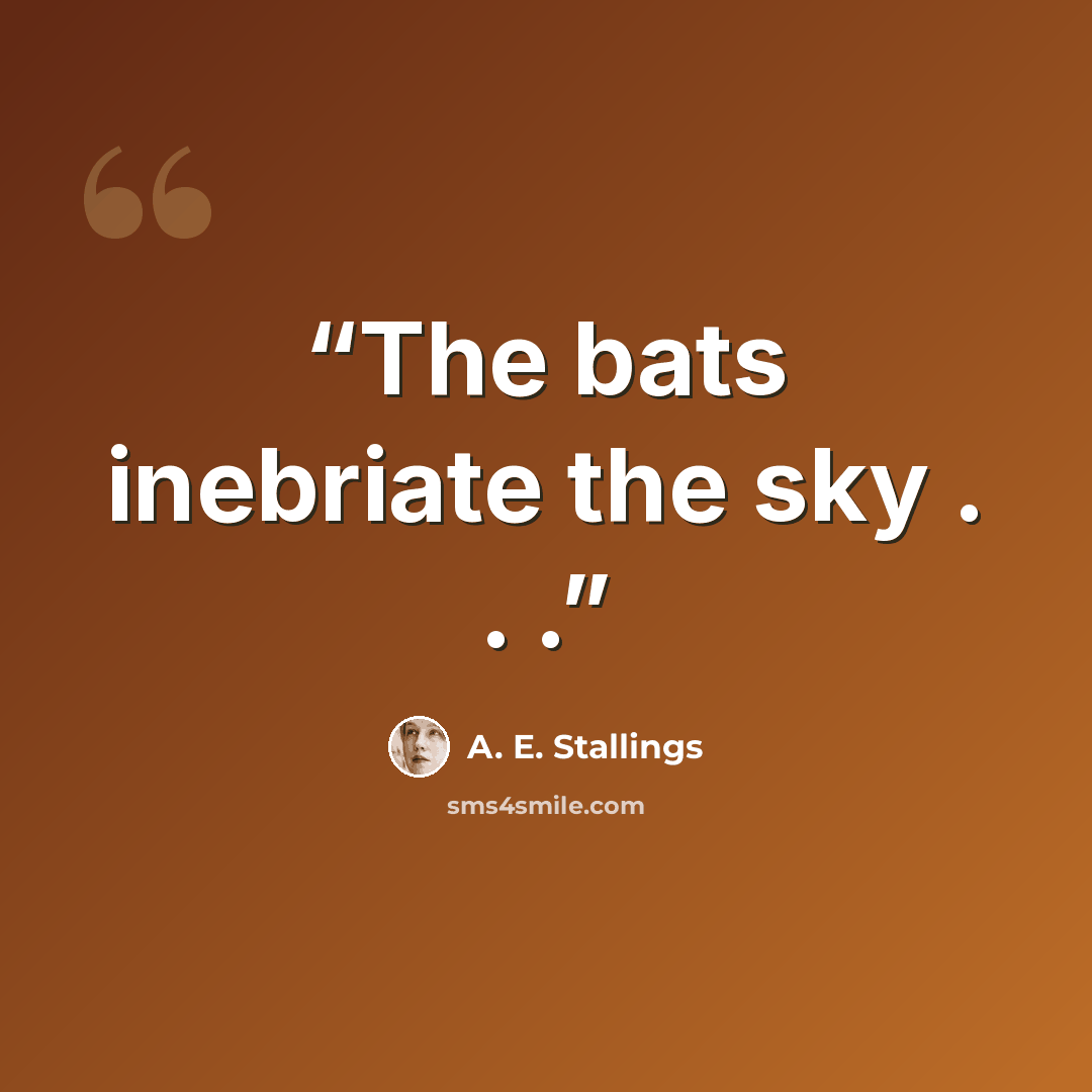 “The bats inebriate the sky . . .” quote by A. E. Stallings