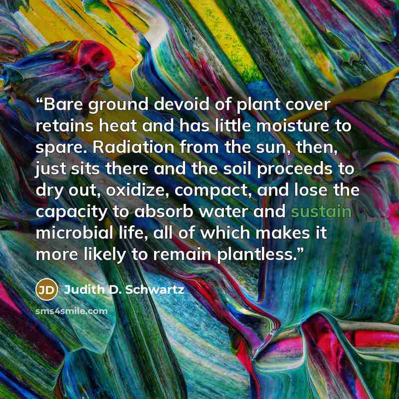 “Bare ground devoid of plant cover retains heat and has little moisture to spare. Radiation from the sun, then, just sits there and the soil proceeds to dry out, oxidize, compact, and lose the capacity to absorb water and sustain microbial life, all of which makes it more likely to remain plantless.” quote by Judith D. Schwartz