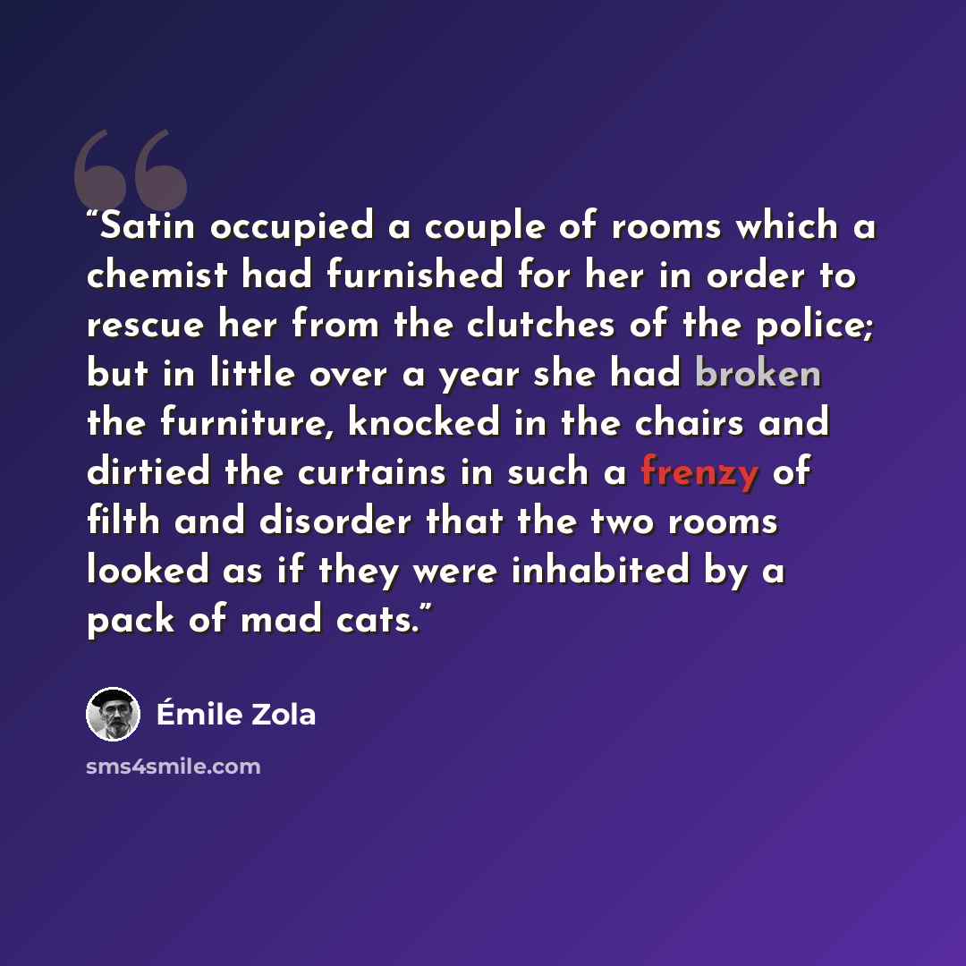 “Satin occupied a couple of rooms which a chemist had furnished for her in order to rescue her from the clutches of the police; but in little over a year she had broken the furniture, knocked in the chairs and dirtied the curtains in such a frenzy of filth and disorder that the two rooms looked as…” quote by Émile Zola