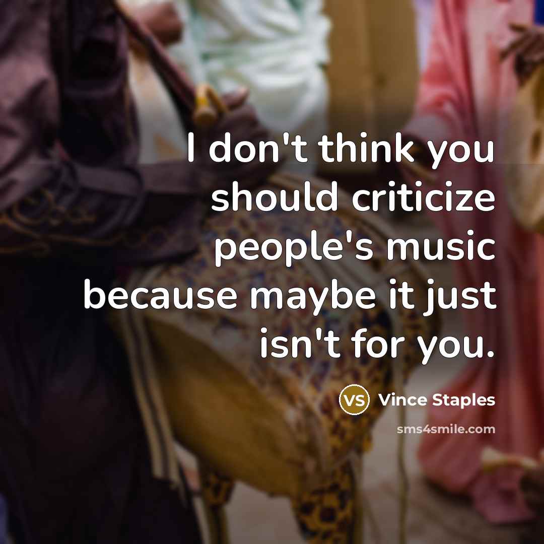 “I don't think you should criticize people's music because maybe it just isn't for you.” quote by Vince Staples