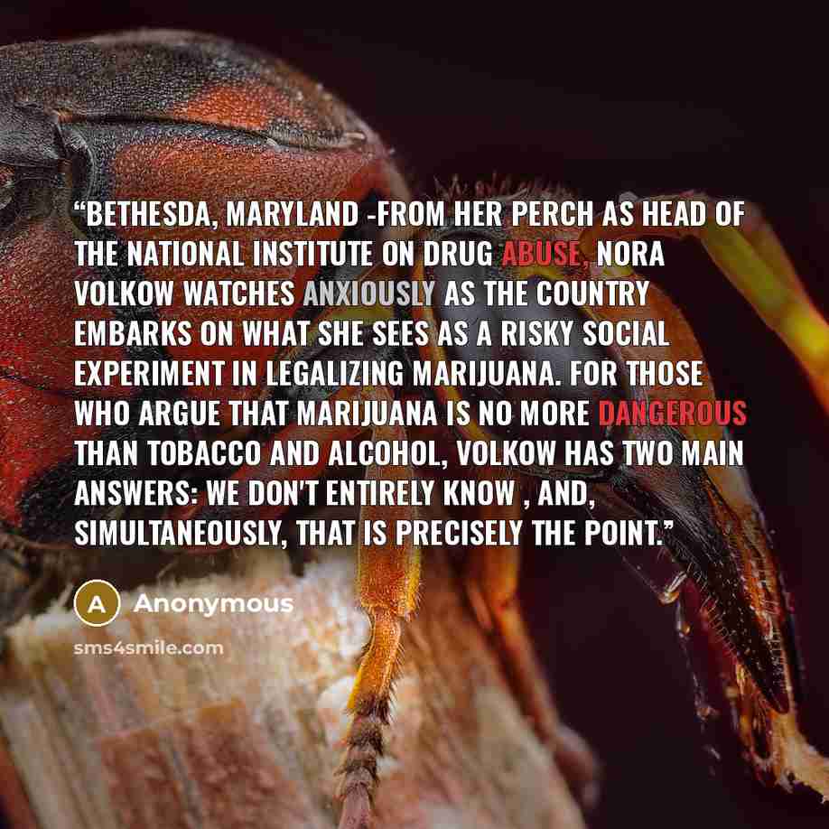 “BETHESDA, Maryland -From her perch as head of the National Institute on Drug Abuse, Nora Volkow watches anxiously as the country embarks on what she sees as a risky social experiment in legalizing marijuana. For those who argue that marijuana is no more dangerous than tobacco and alcohol, Volkow…” quote by Anonymous