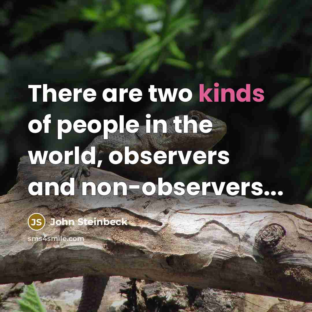 “There are two kinds of people in the world, observers and non-observers...” quote by John Steinbeck