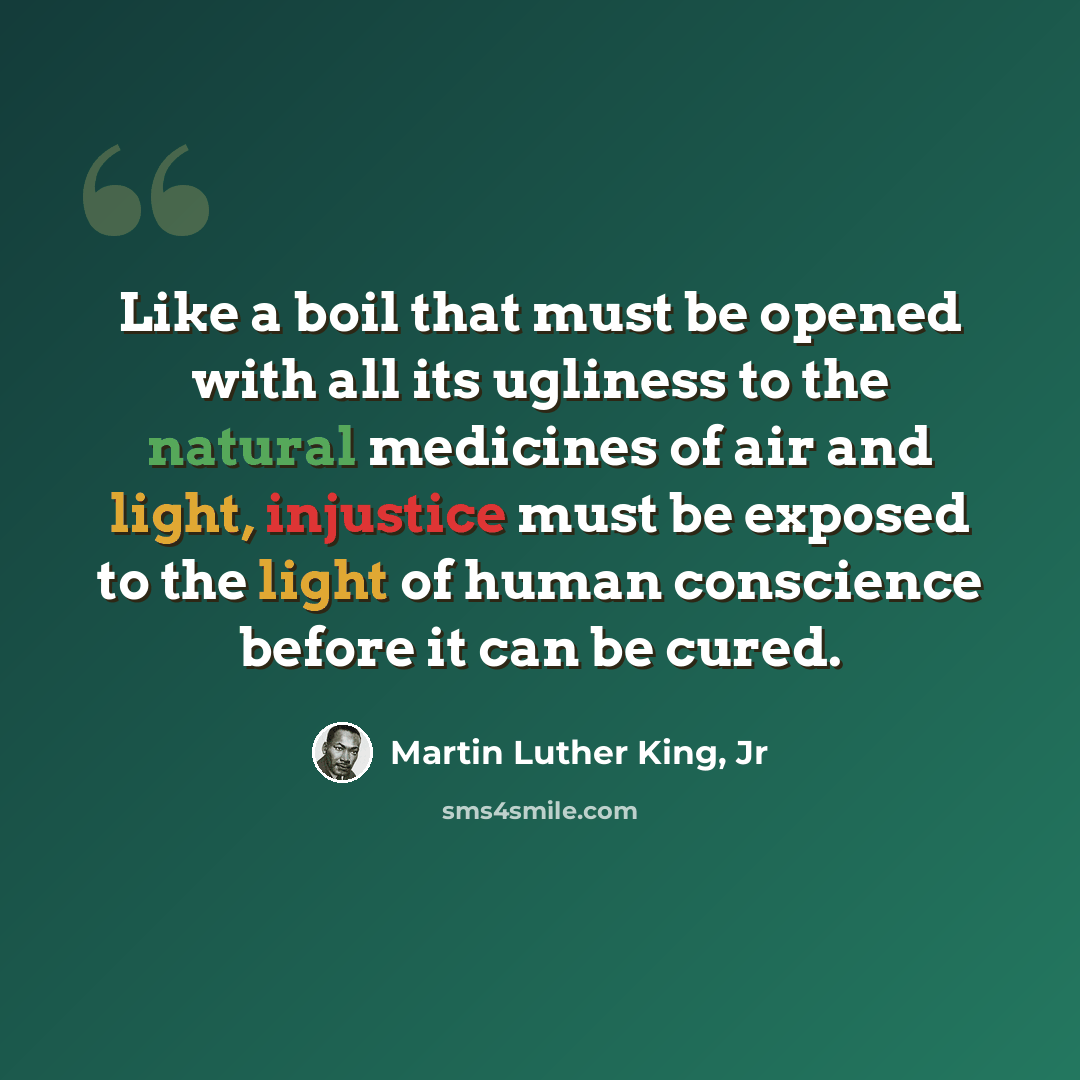 “Like a boil that must be opened with all its ugliness to the natural medicines of air and light, injustice must be exposed to the light of human conscience before it can be cured.” quote by Martin Luther King, Jr