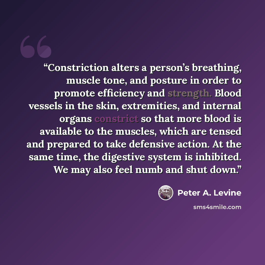 “Constriction alters a person’s breathing, muscle tone, and posture in order to promote efficiency and strength. Blood vessels in the skin, extremities, and internal organs constrict so that more blood is available to the muscles, which are tensed and prepared to take defensive action. At the same…” quote by Peter A. Levine