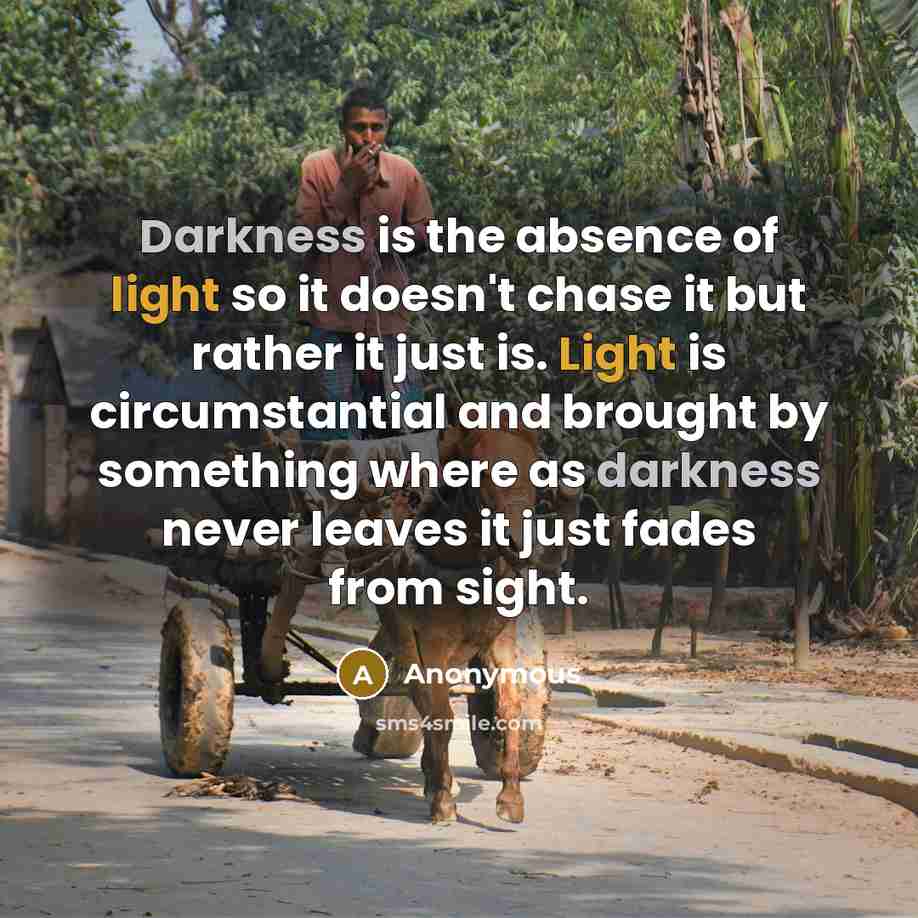 “Darkness is the absence of light so it doesn't chase it but rather it just is. Light is circumstantial and brought by something where as darkness never leaves it just fades from sight.” quote by Anonymous