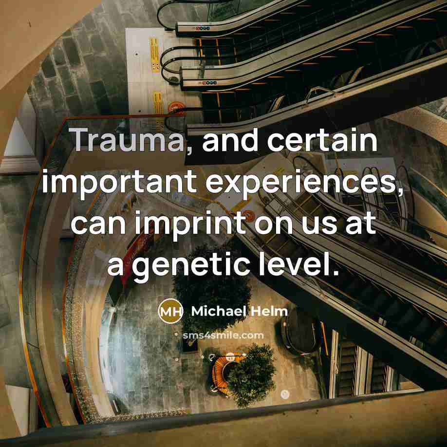 “Trauma, and certain important experiences, can imprint on us at a genetic level.” quote by Michael Helm