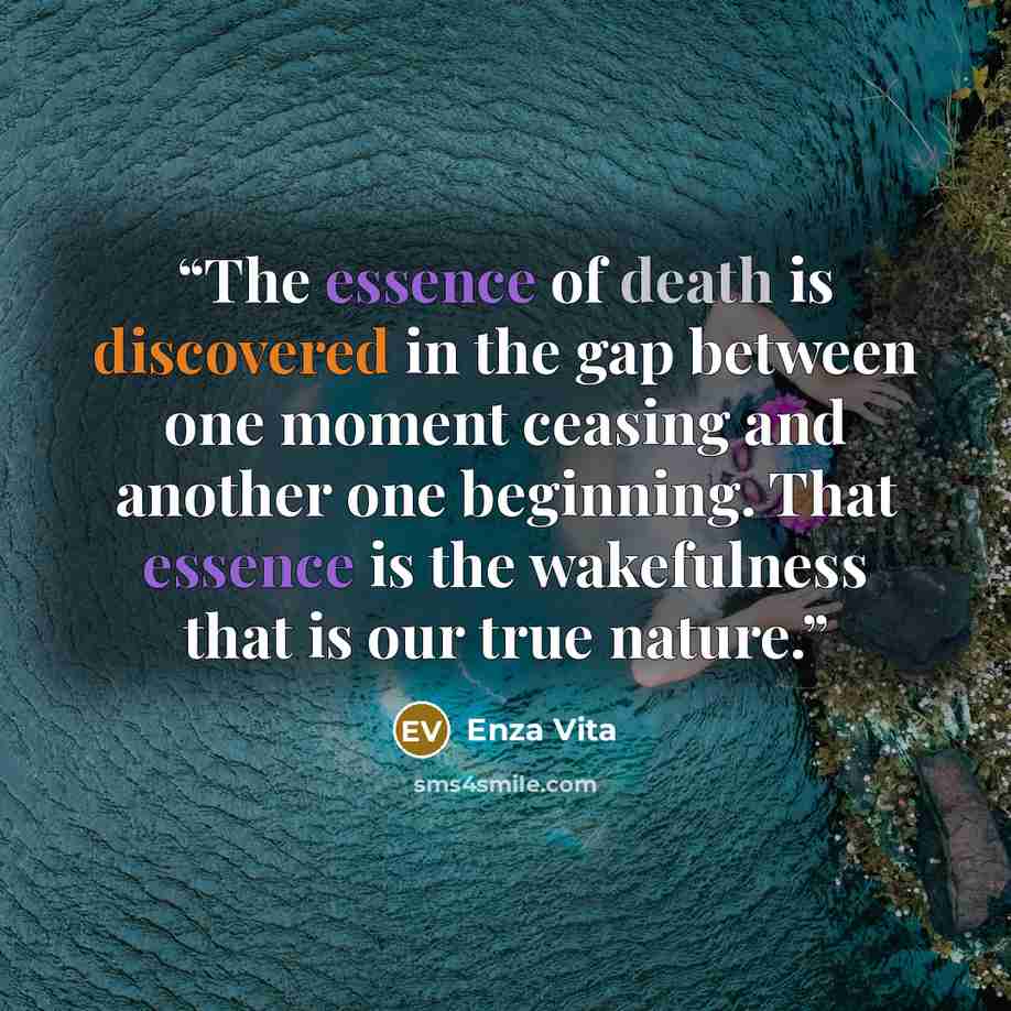“The essence of death is discovered in the gap between one moment ceasing and another one beginning. That essence is the wakefulness that is our true nature.” quote by Enza Vita