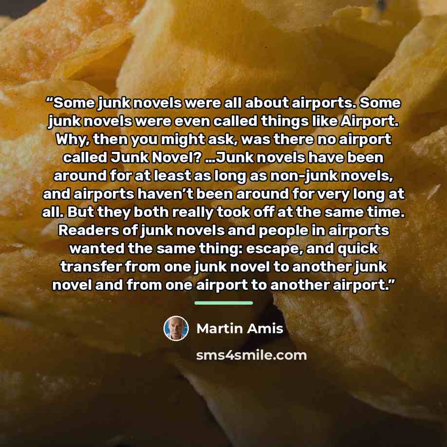“Some junk novels were all about airports. Some junk novels were even called things like Airport. Why, then you might ask, was there no airport called Junk Novel? …Junk novels have been around for at least as long as non-junk novels, and airports haven’t been around for very long at all. But they…” quote by Martin Amis