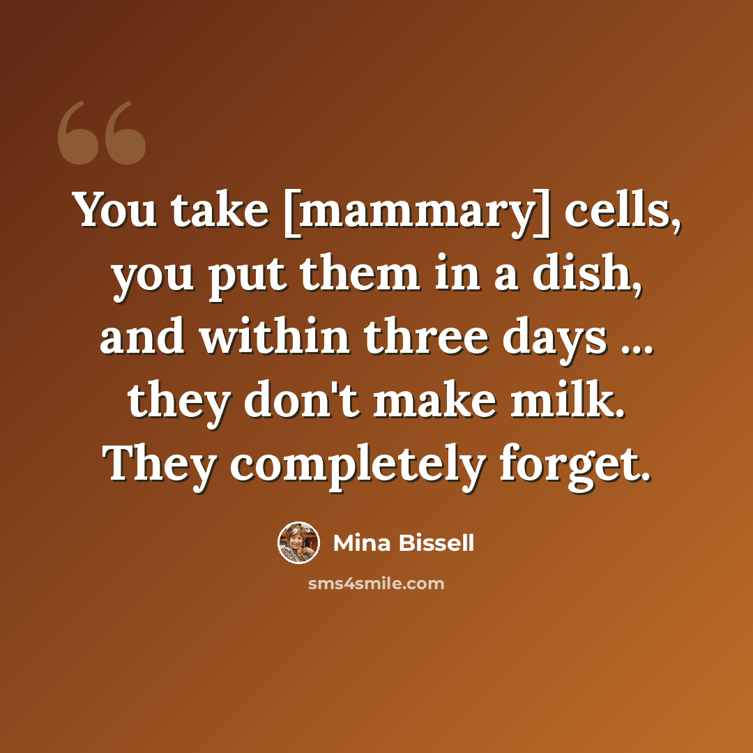 “You take [mammary] cells, you put them in a dish, and within three days ... they don't make milk. They completely forget.” quote by Mina Bissell