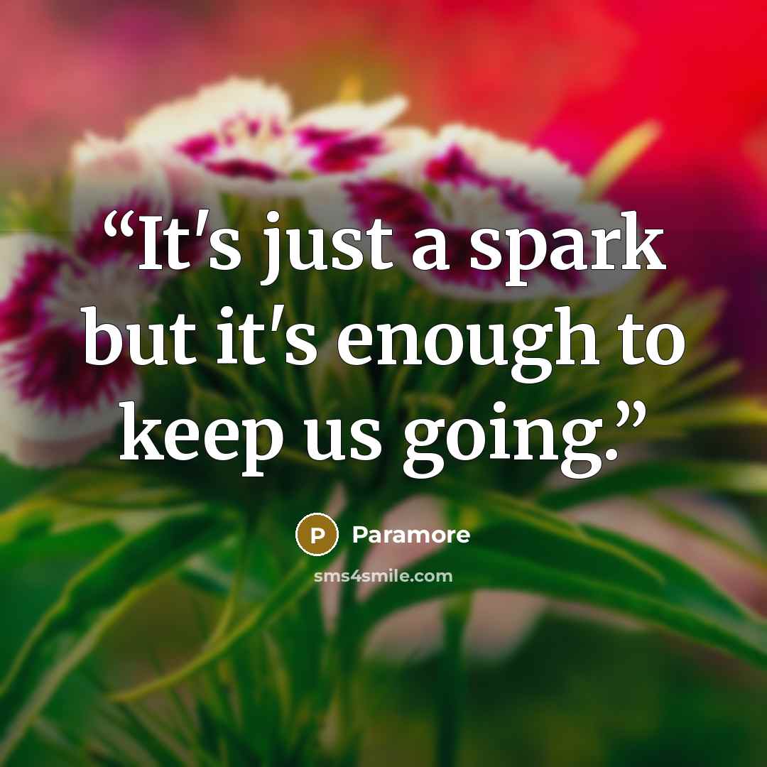“It's just a spark but it's enough to keep us going.” quote by Paramore