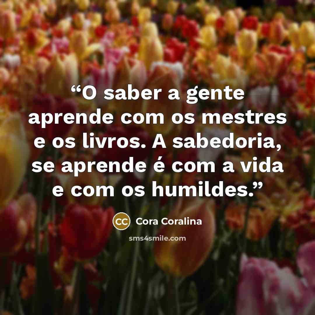 “O saber a gente aprende com os mestres e os livros. A sabedoria, se aprende é com a vida e com os humildes.” quote by Cora Coralina