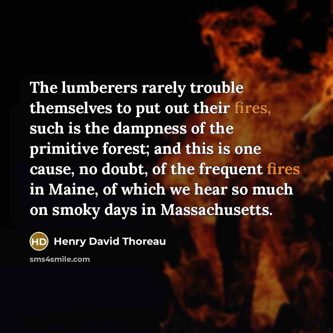 “The lumberers rarely trouble themselves to put out their fires, such is the dampness of the primitive forest; and this is one cause, no doubt, of the frequent fires in Maine, of which we hear so much on smoky days in Massachusetts.” quote by Henry David Thoreau