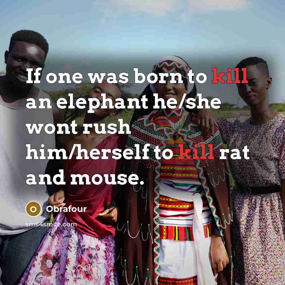 “If one was born to kill an elephant he/she wont rush him/herself to kill rat and mouse.” quote by Obrafour
