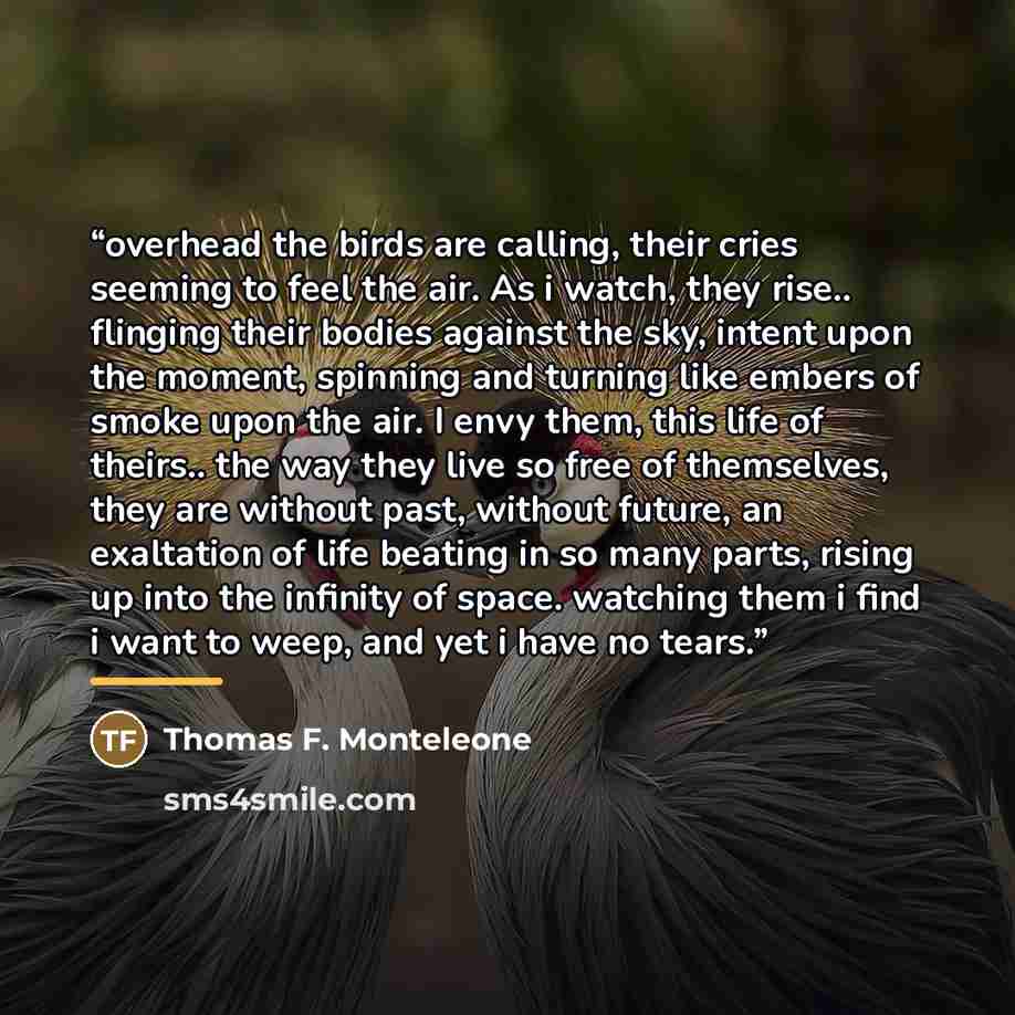 “overhead the birds are calling, their cries seeming to feel the air. As i watch, they rise.. flinging their bodies against the sky, intent upon the moment, spinning and turning like embers of smoke upon the air. I envy them, this life of theirs.. the way they live so free of themselves, they are…” quote by Thomas F. Monteleone