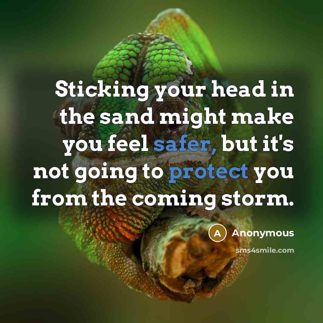 “Sticking your head in the sand might make you feel safer, but it's not going to protect you from the coming storm.” quote by Anonymous