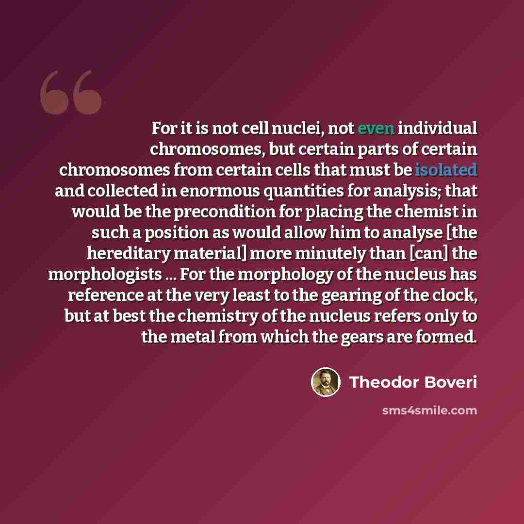 “For it is not cell nuclei, not even individual chromosomes, but certain parts of certain chromosomes from certain cells that must be isolated and collected in enormous quantities for analysis; that would be the precondition for placing the chemist in such a position as would allow him to analyse…” quote by Theodor Boveri
