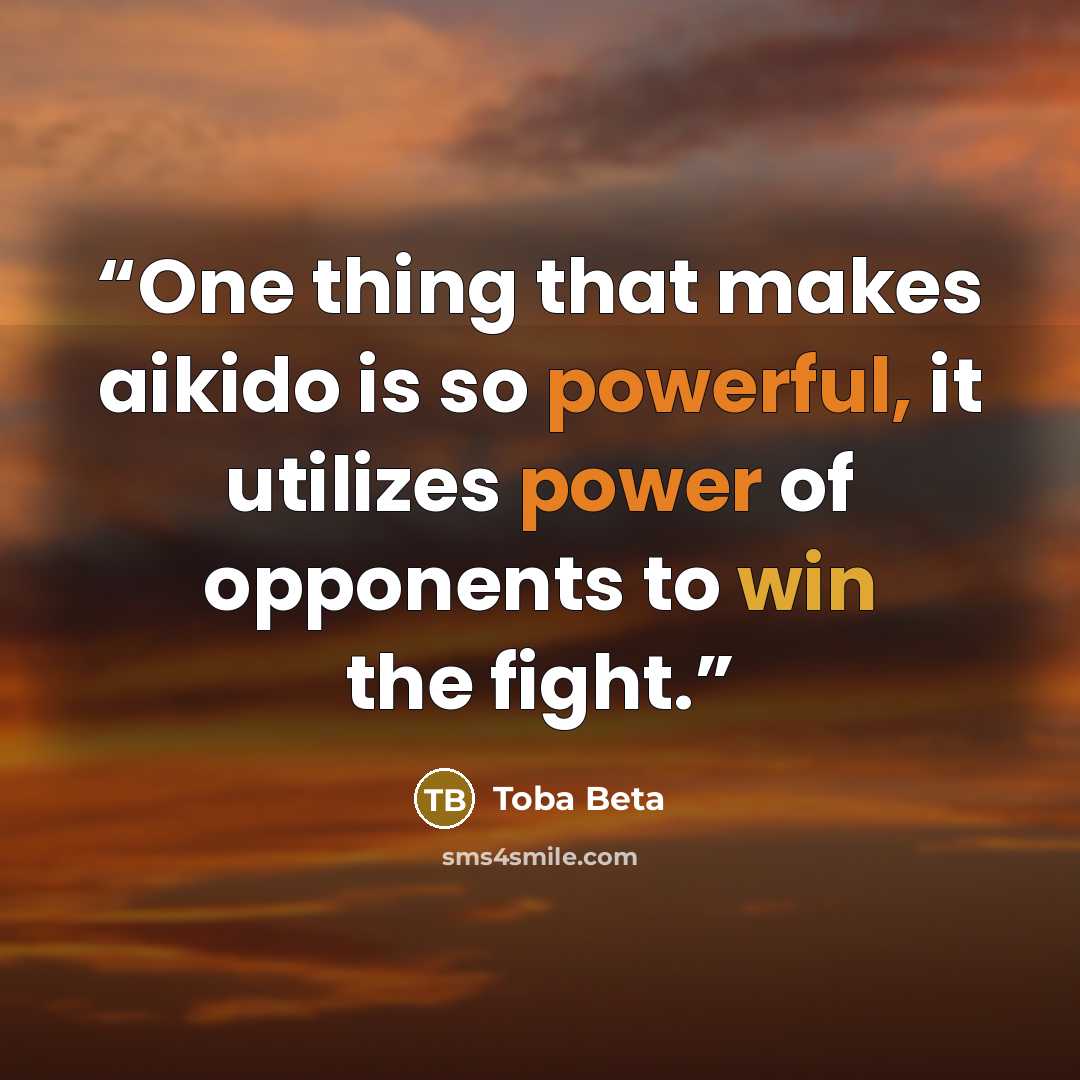 “One thing that makes aikido is so powerful, it utilizes power of opponents to win the fight.” quote by Toba Beta