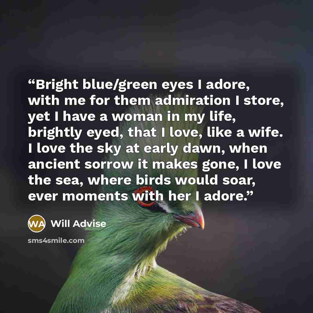 “Bright blue/green eyes I adore, with me for them admiration I store, yet I have a woman in my life, brightly eyed, that I love, like a wife. I love the sky at early dawn, when ancient sorrow it makes gone, I love the sea, where birds would soar, ever moments with her I adore.” quote by Will Advise
