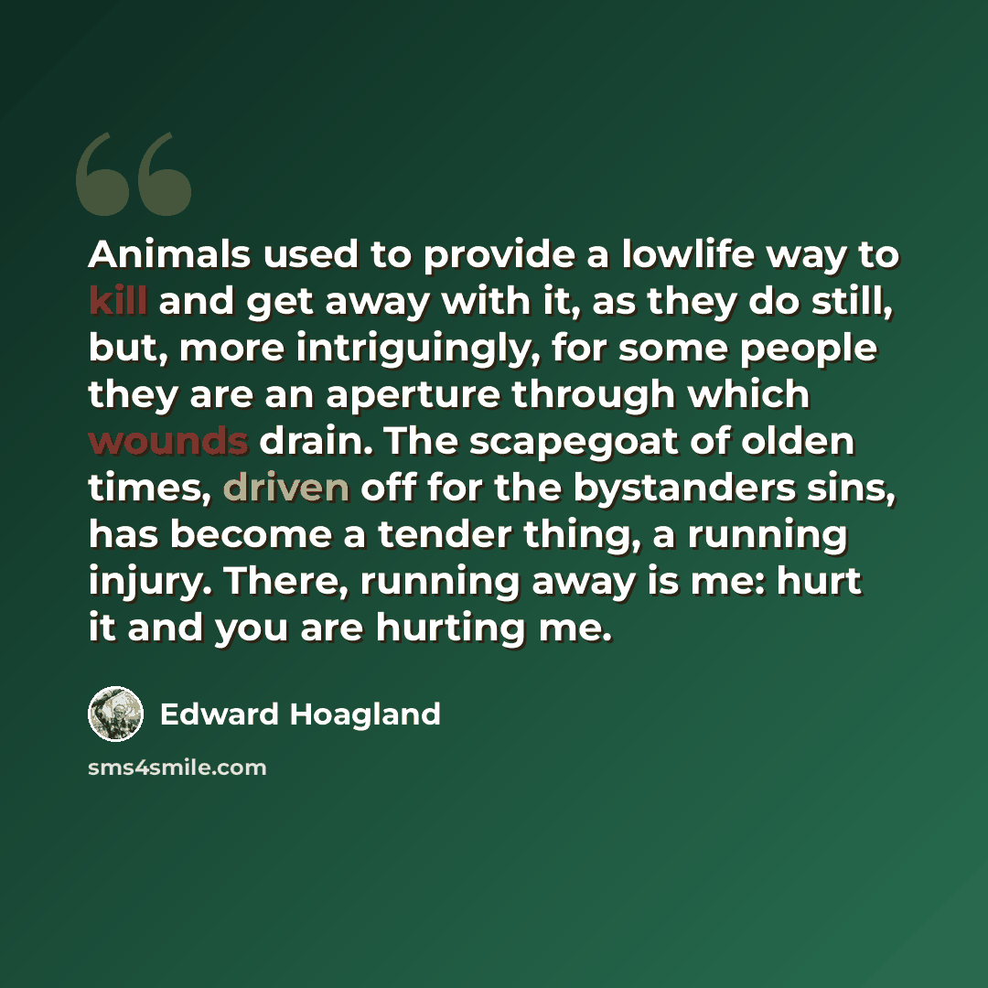 “Animals used to provide a lowlife way to kill and get away with it, as they do still, but, more intriguingly, for some people they are an aperture through which wounds drain. The scapegoat of olden times, driven off for the bystanders sins, has become a tender thing, a running injury. There…” quote by Edward Hoagland