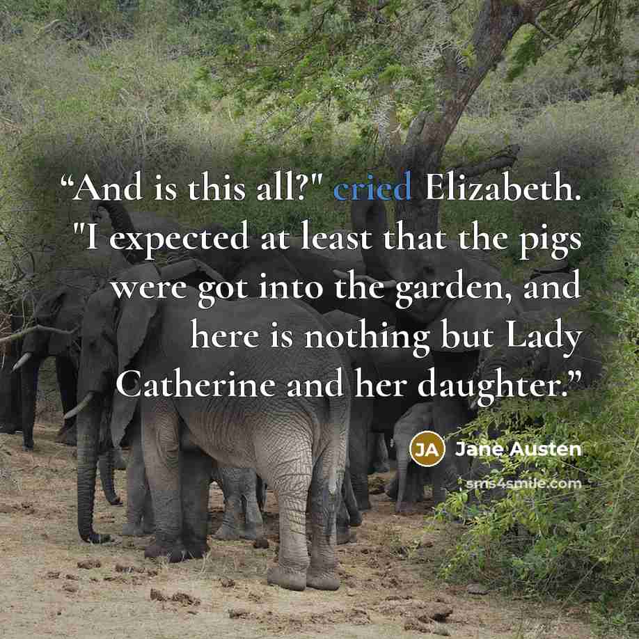 “And is this all?" cried Elizabeth. "I expected at least that the pigs were got into the garden, and here is nothing but Lady Catherine and her daughter.” quote by Jane Austen