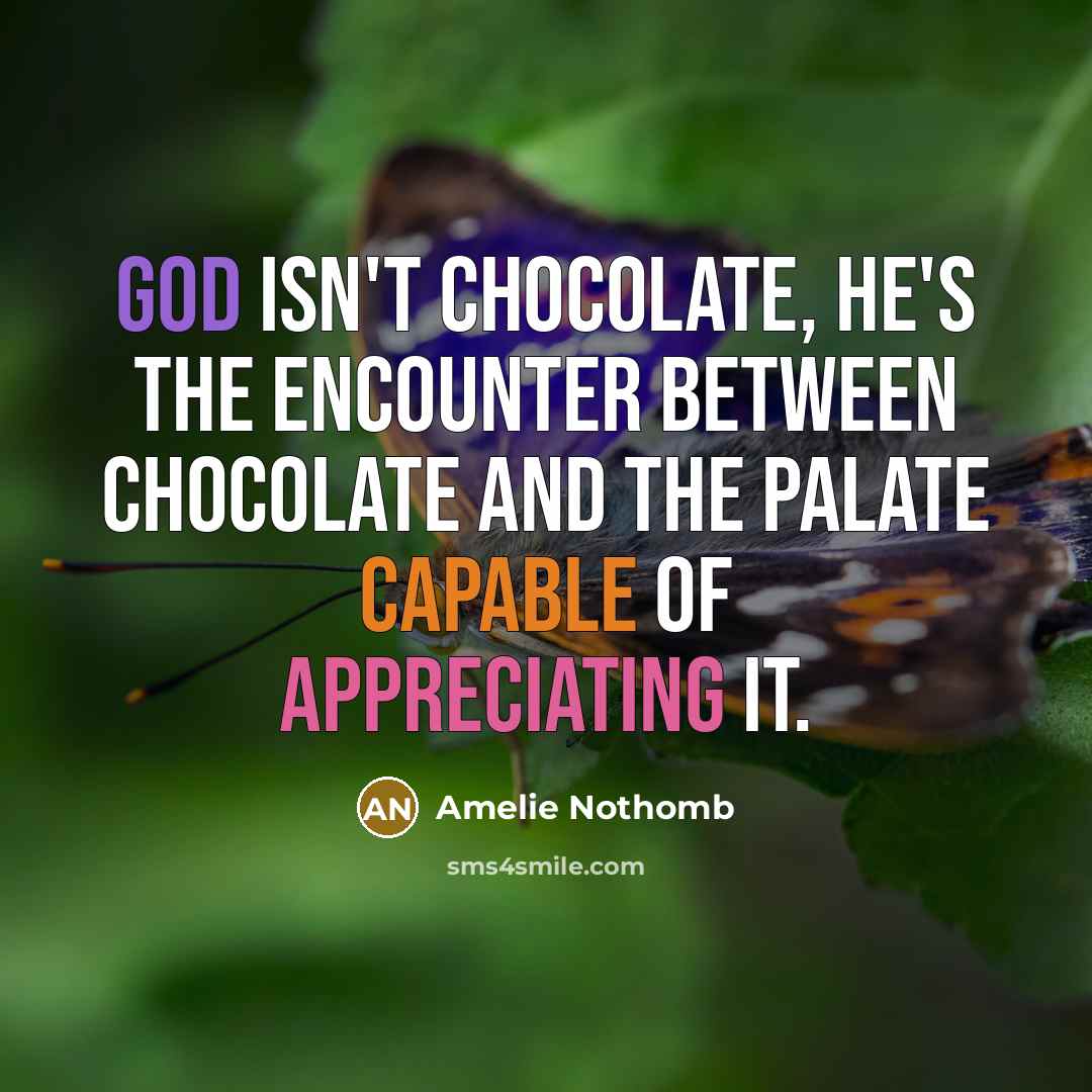 “God isn't chocolate, he's the encounter between chocolate and the palate capable of appreciating it.” quote by Amelie Nothomb