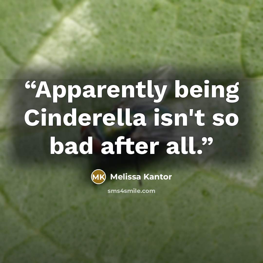 “Apparently being Cinderella isn't so bad after all.” quote by Melissa Kantor
