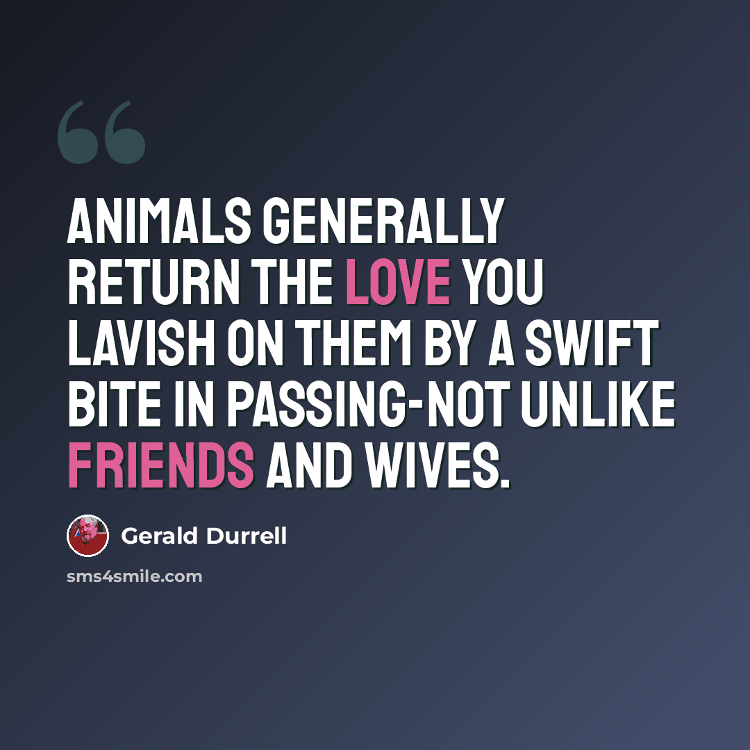 “Animals generally return the love you lavish on them by a swift bite in passing-not unlike friends and wives.” quote by Gerald Durrell