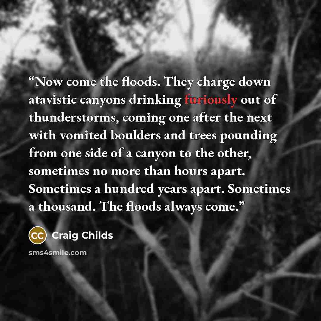 “Now come the floods. They charge down atavistic canyons drinking furiously out of thunderstorms, coming one after the next with vomited boulders and trees pounding from one side of a canyon to the other, sometimes no more than hours apart. Sometimes a hundred years apart. Sometimes a thousand. The…” quote by Craig Childs