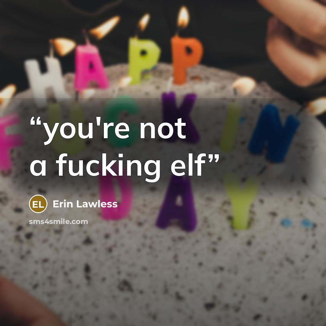 “you're not a fucking elf” quote by Erin Lawless
