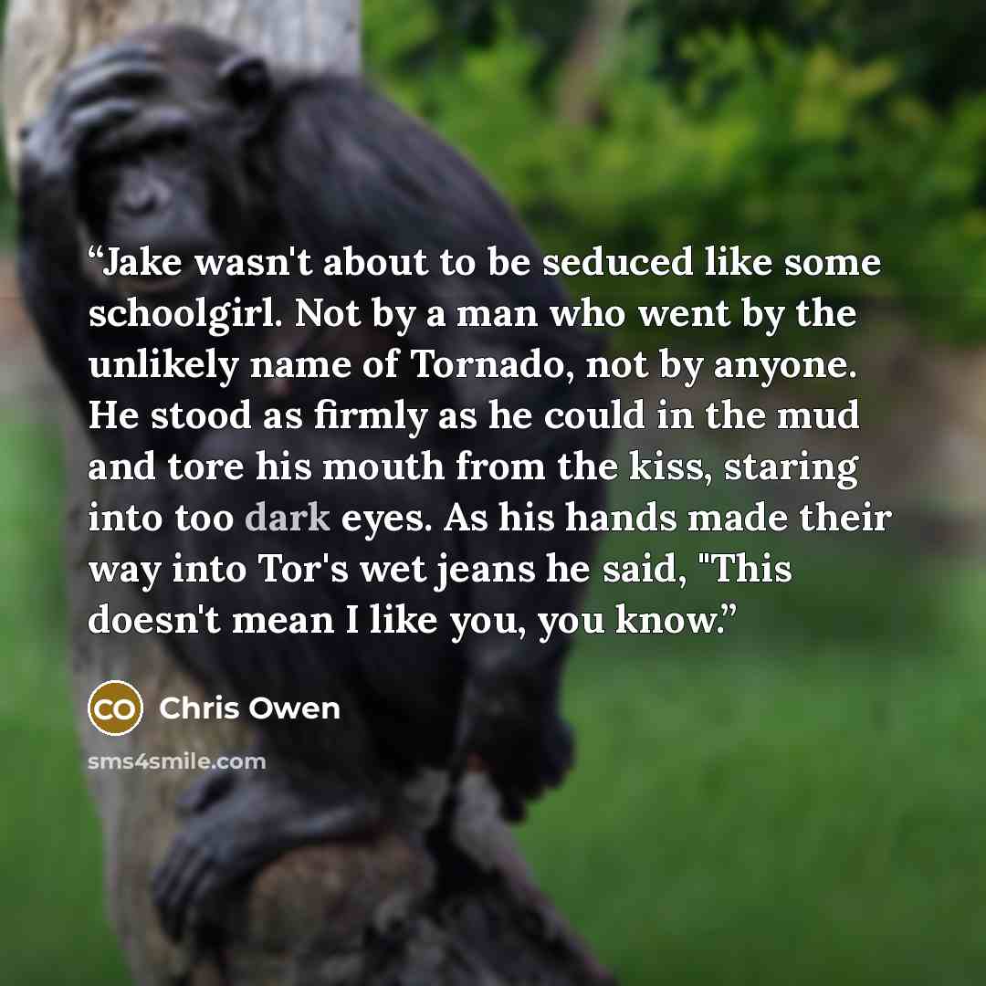 “Jake wasn't about to be seduced like some schoolgirl. Not by a man who went by the unlikely name of Tornado, not by anyone. He stood as firmly as he could in the mud and tore his mouth from the kiss, staring into too dark eyes. As his hands made their way into Tor's wet jeans he said, "This…” quote by Chris Owen