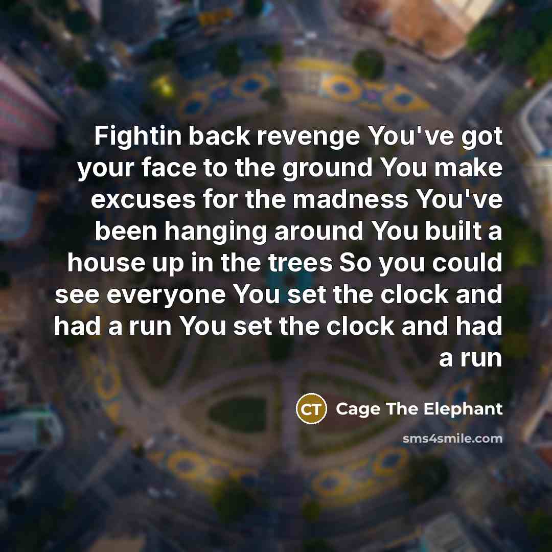 “Fightin back revenge You've got your face to the ground You make excuses for the madness You've been hanging around You built a house up in the trees So you could see everyone You set the clock and had a run You set the clock and had a run” quote by Cage The Elephant