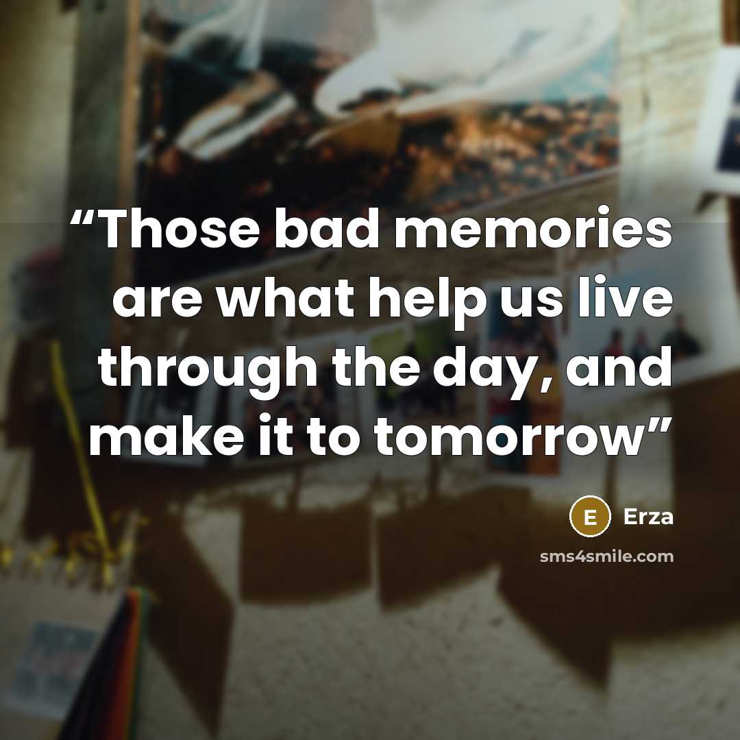 “Those bad memories are what help us live through the day, and make it to tomorrow” quote by Erza