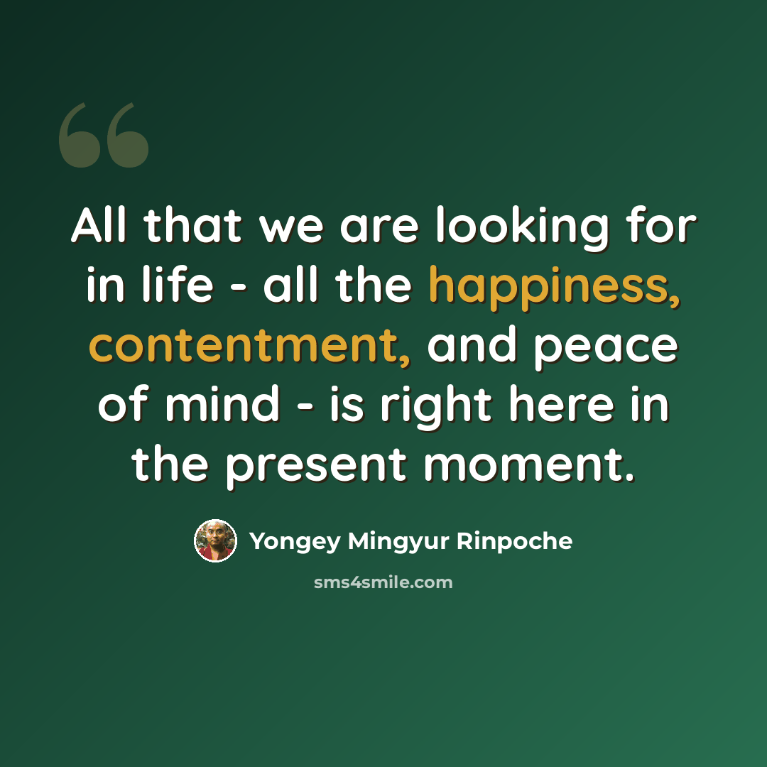 “All that we are looking for in life - all the happiness, contentment, and peace of mind - is right here in the present moment.” quote by Yongey Mingyur Rinpoche