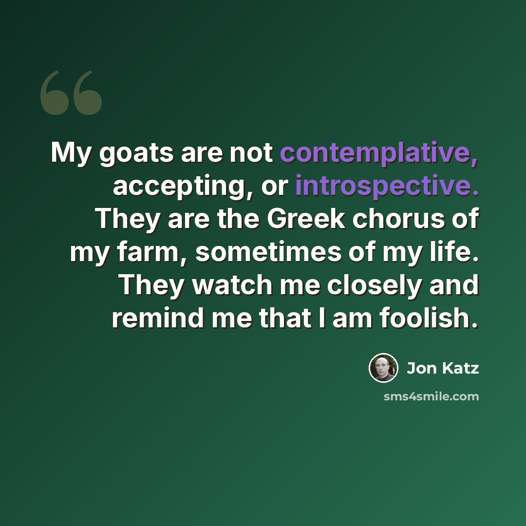 “My goats are not contemplative, accepting, or introspective. They are the Greek chorus of my farm, sometimes of my life. They watch me closely and remind me that I am foolish.” quote by Jon Katz