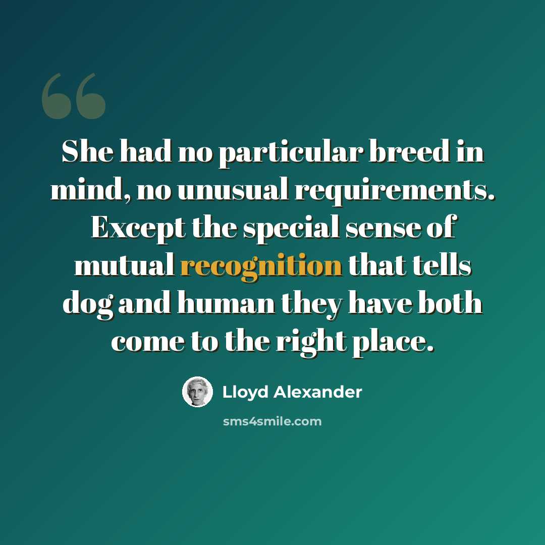 “She had no particular breed in mind, no unusual requirements. Except the special sense of mutual recognition that tells dog and human they have both come to the right place.” quote by Lloyd Alexander