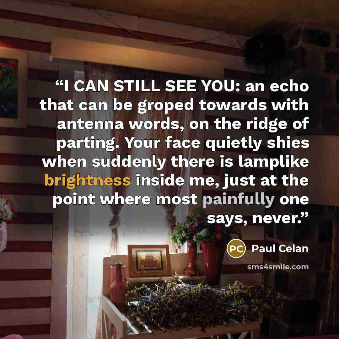 “I CAN STILL SEE YOU: an echo that can be groped towards with antenna words, on the ridge of parting. Your face quietly shies when suddenly there is lamplike brightness inside me, just at the point where most painfully one says, never.” quote by Paul Celan