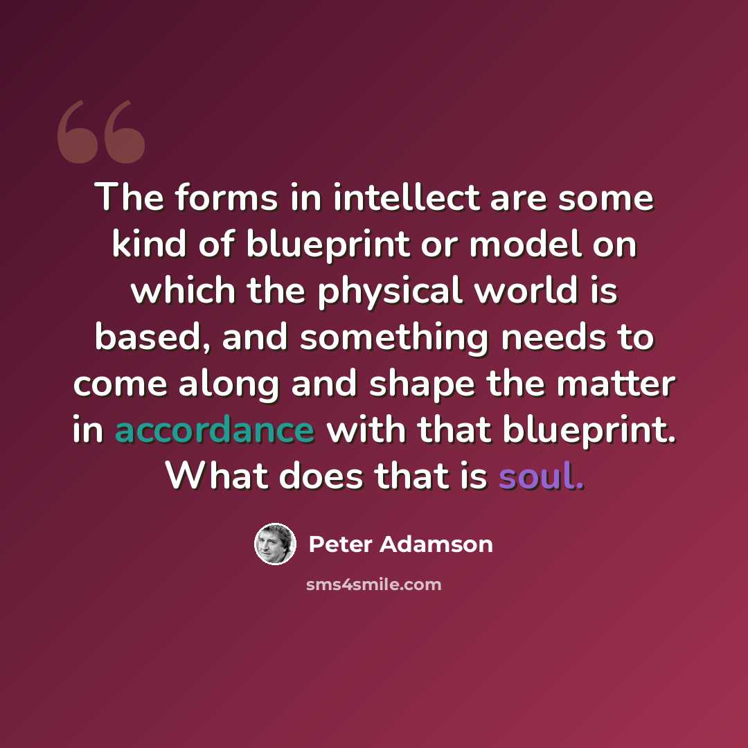 “The forms in intellect are some kind of blueprint or model on which the physical world is based, and something needs to come along and shape the matter in accordance with that blueprint. What does that is soul.” quote by Peter Adamson