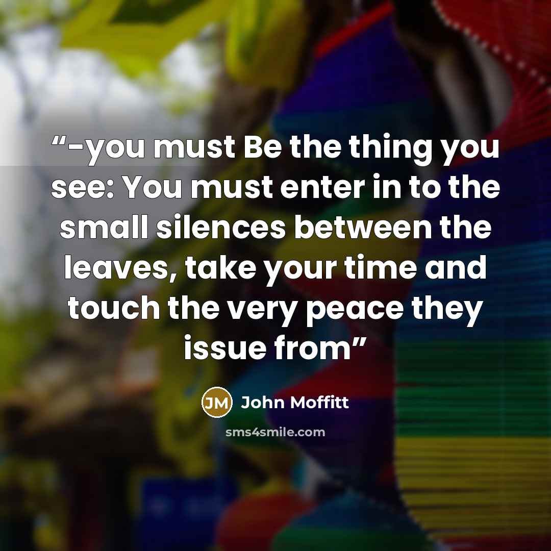 “-you must Be the thing you see: You must enter in to the small silences between the leaves, take your time and touch the very peace they issue from” quote by John Moffitt